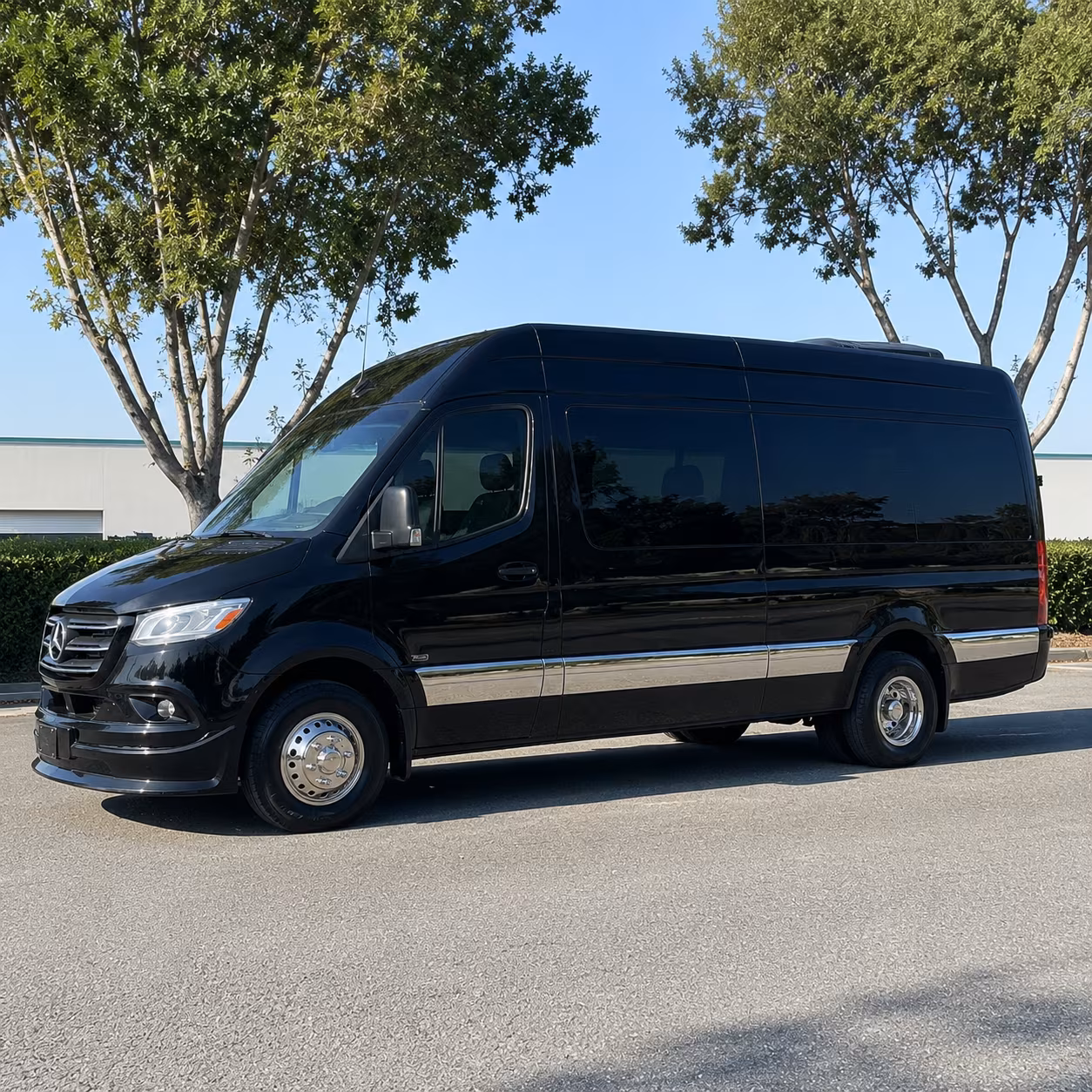 12 passenger sprinter van