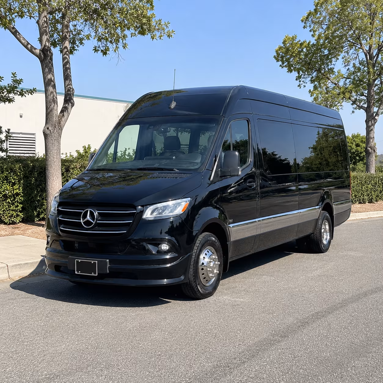 find the perfect transportation for your next birthday 3